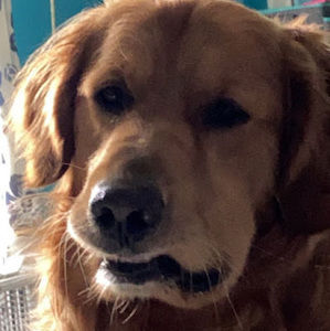 Meet your Posher, Adrianna